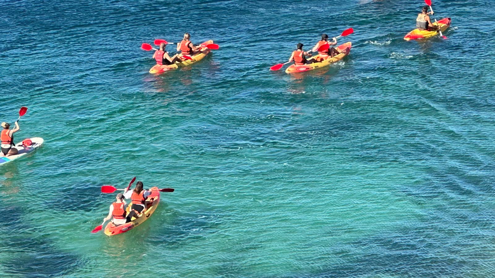 Grupo explorando recife